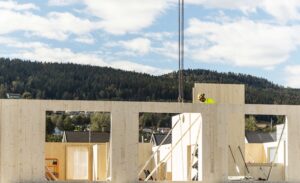 Massivtrekonstruksjon med ås i bakgrunnen